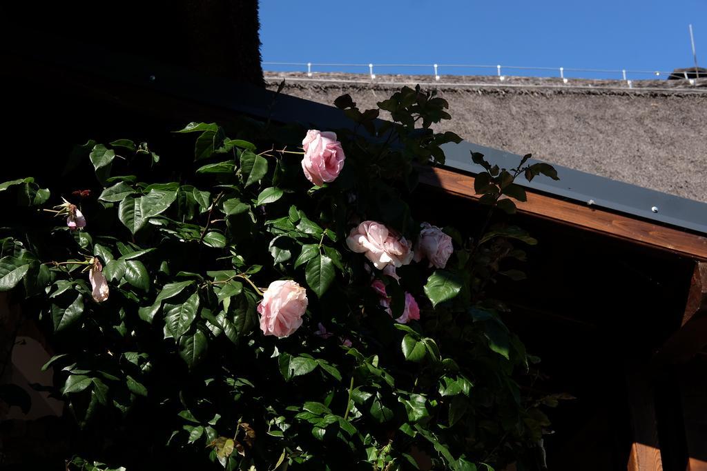 Cselling Udvarhaz Révfülöp Exteriör bild